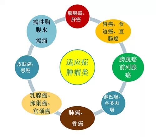 1490842892930347.jpg 640.webp (1).jpg