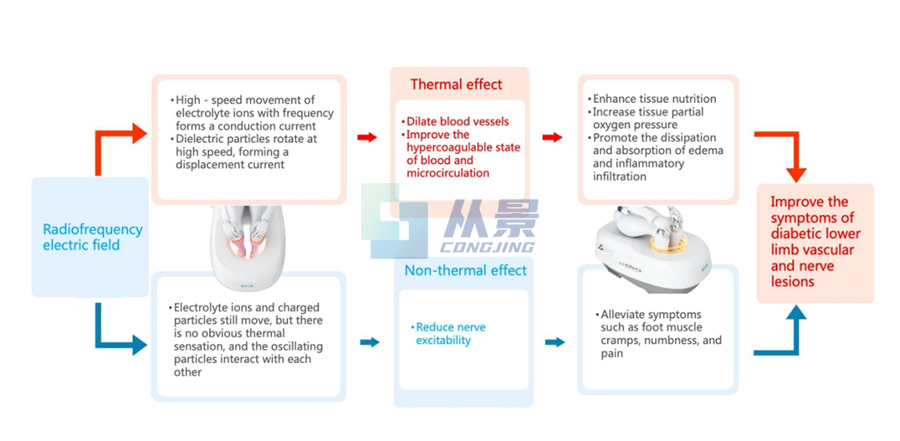 1749026163617253.jpg 2025-ESM-3.jpg